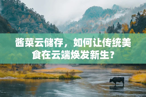酱菜云储存，如何让传统美食在云端焕发新生？