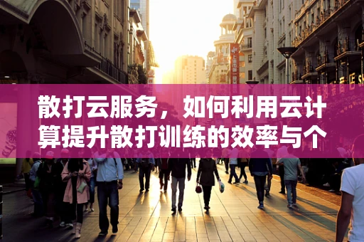 散打云服务，如何利用云计算提升散打训练的效率与个性化？