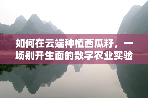 如何在云端种植西瓜籽，一场别开生面的数字农业实验