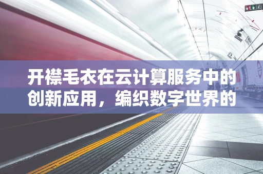 开襟毛衣在云计算服务中的创新应用，编织数字世界的温暖连接