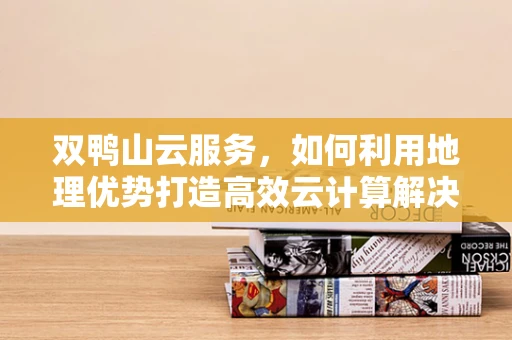 双鸭山云服务，如何利用地理优势打造高效云计算解决方案？