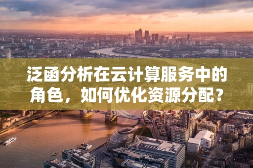 泛函分析在云计算服务中的角色，如何优化资源分配？
