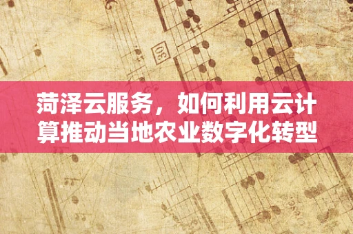 菏泽云服务，如何利用云计算推动当地农业数字化转型？