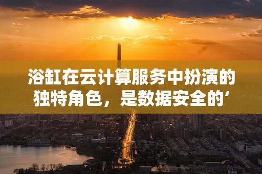 浴缸在云计算服务中扮演的独特角色，是数据安全的‘避风港’还是资源分配的‘漏斗’？