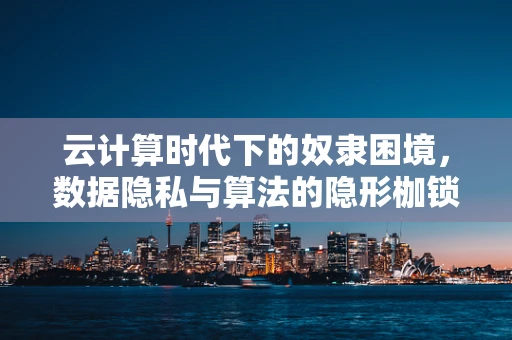 云计算时代下的奴隶困境，数据隐私与算法的隐形枷锁？