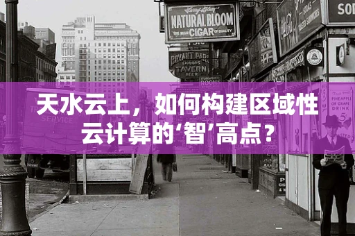 天水云上，如何构建区域性云计算的‘智’高点？