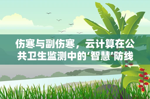 伤寒与副伤寒，云计算在公共卫生监测中的‘智慧’防线