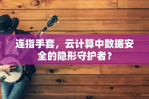 连指手套，云计算中数据安全的隐形守护者？