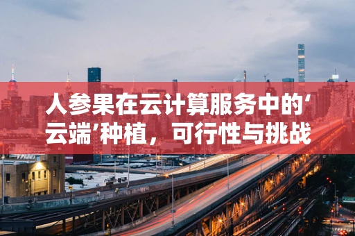 人参果在云计算服务中的‘云端’种植，可行性与挑战？
