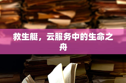 救生艇，云服务中的生命之舟