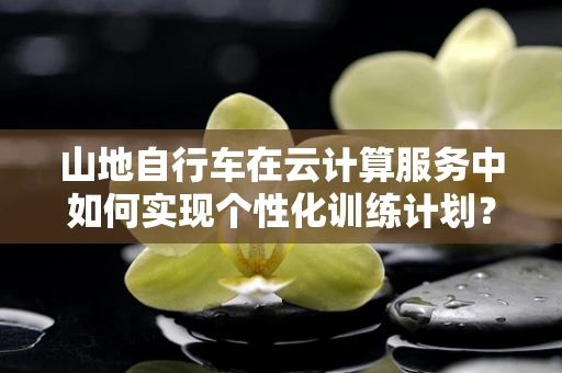 山地自行车在云计算服务中如何实现个性化训练计划？
