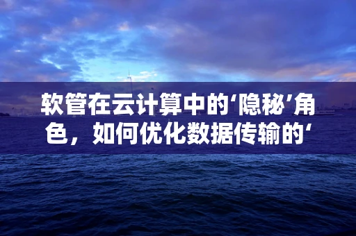 软管在云计算中的‘隐秘’角色，如何优化数据传输的‘血管’？