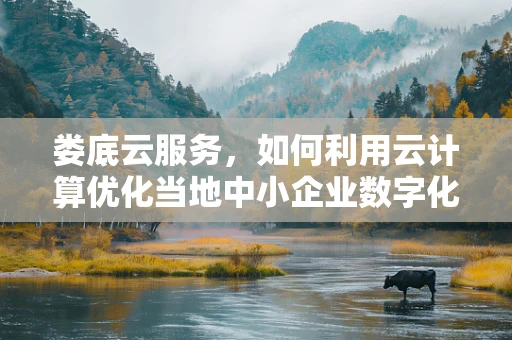 娄底云服务，如何利用云计算优化当地中小企业数字化转型？