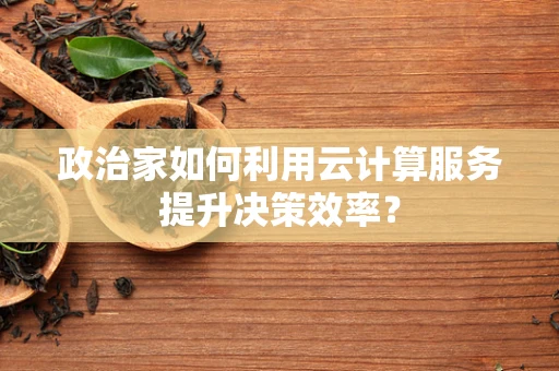 政治家如何利用云计算服务提升决策效率？