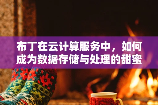 布丁在云计算服务中，如何成为数据存储与处理的甜蜜‘小确幸’？