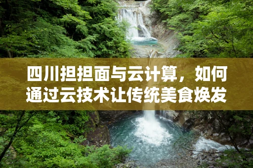 四川担担面与云计算，如何通过云技术让传统美食焕发新活力？