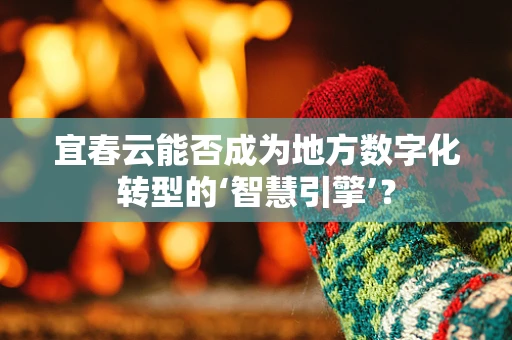 宜春云能否成为地方数字化转型的‘智慧引擎’？