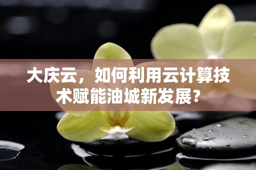 大庆云，如何利用云计算技术赋能油城新发展？