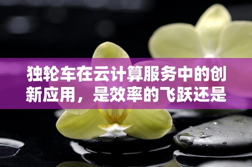独轮车在云计算服务中的创新应用，是效率的飞跃还是概念的误区？