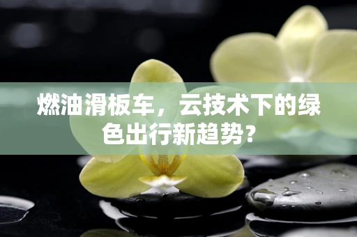 燃油滑板车，云技术下的绿色出行新趋势？