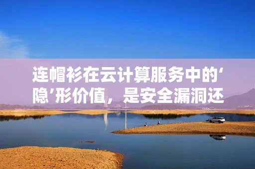 连帽衫在云计算服务中的‘隐’形价值，是安全漏洞还是创新契机？