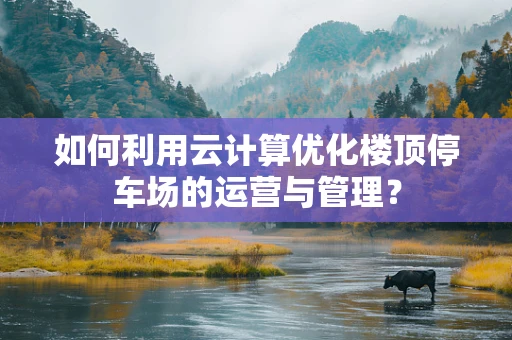 如何利用云计算优化楼顶停车场的运营与管理？