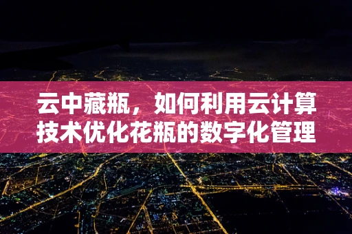 云中藏瓶，如何利用云计算技术优化花瓶的数字化管理？