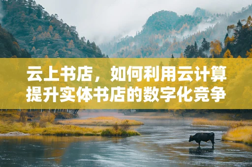 云上书店，如何利用云计算提升实体书店的数字化竞争力？