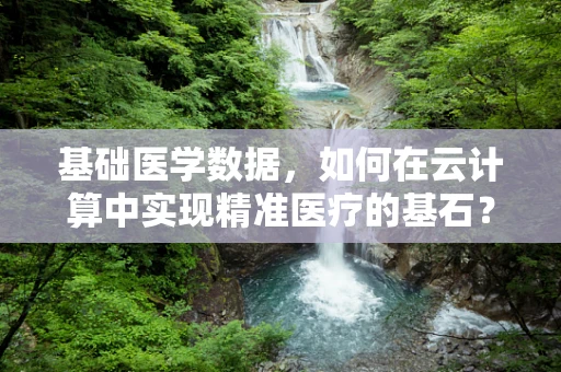 基础医学数据，如何在云计算中实现精准医疗的基石？