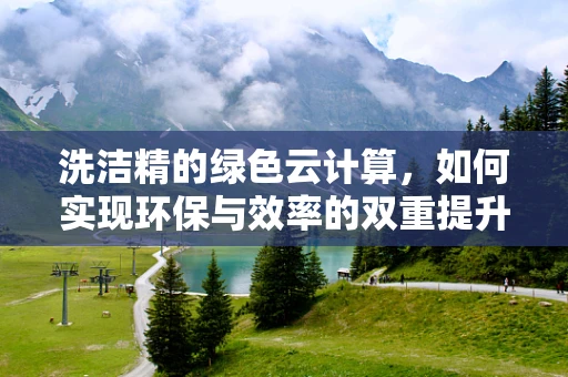 洗洁精的绿色云计算，如何实现环保与效率的双重提升？