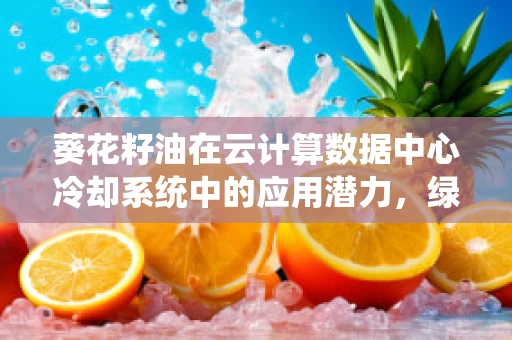 葵花籽油在云计算数据中心冷却系统中的应用潜力，绿色IT的未来之选？