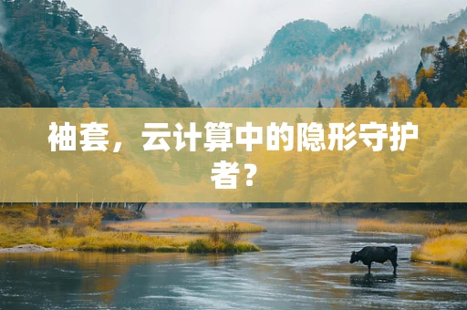 袖套，云计算中的隐形守护者？