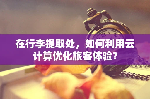在行李提取处，如何利用云计算优化旅客体验？