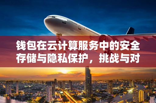 钱包在云计算服务中的安全存储与隐私保护，挑战与对策