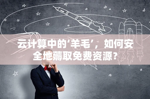 云计算中的‘羊毛’，如何安全地薅取免费资源？