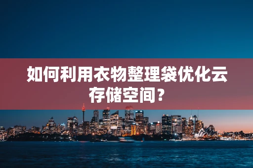 如何利用衣物整理袋优化云存储空间？