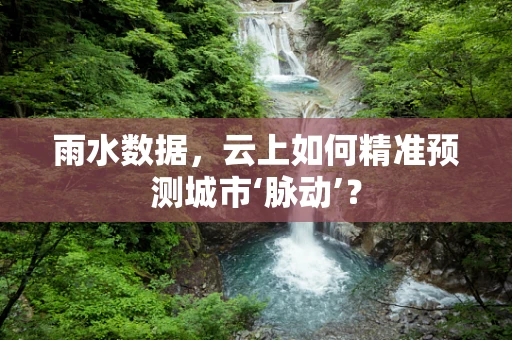 雨水数据，云上如何精准预测城市‘脉动’？