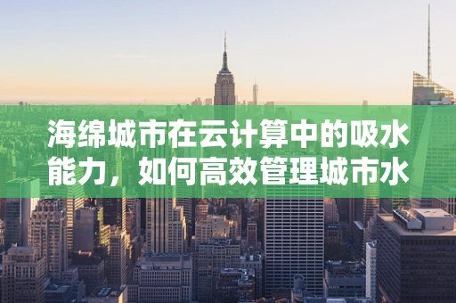 海绵城市在云计算中的吸水能力，如何高效管理城市水资源？