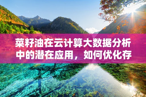 菜籽油在云计算大数据分析中的潜在应用，如何优化存储与处理？