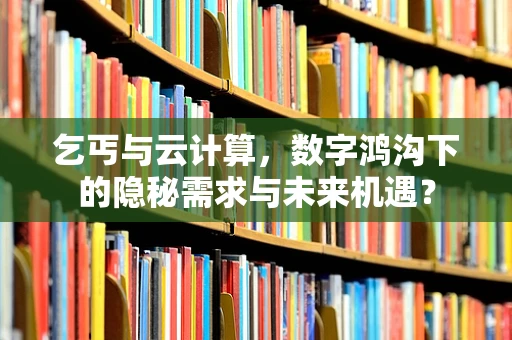 乞丐与云计算，数字鸿沟下的隐秘需求与未来机遇？