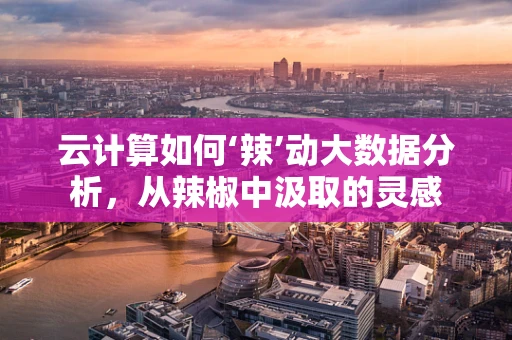 云计算如何‘辣’动大数据分析，从辣椒中汲取的灵感