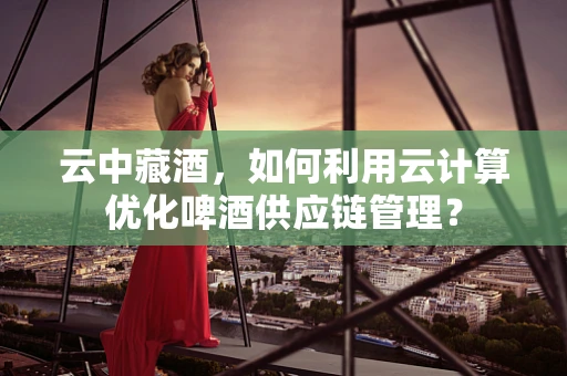 云中藏酒，如何利用云计算优化啤酒供应链管理？