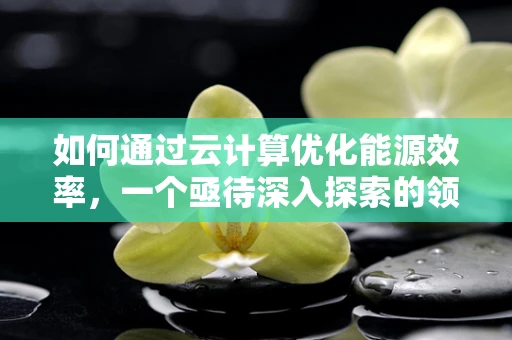 如何通过云计算优化能源效率，一个亟待深入探索的领域？