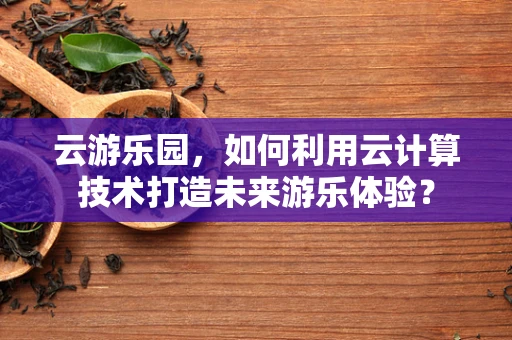 云游乐园，如何利用云计算技术打造未来游乐体验？