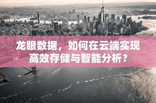 龙眼数据，如何在云端实现高效存储与智能分析？