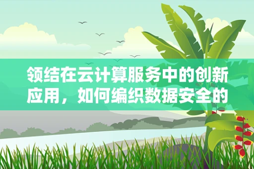 领结在云计算服务中的创新应用，如何编织数据安全的‘结’？