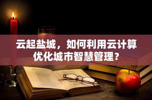 云起盐城，如何利用云计算优化城市智慧管理？