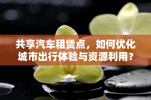 共享汽车租赁点，如何优化城市出行体验与资源利用？