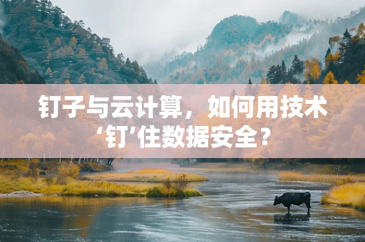 钉子与云计算，如何用技术‘钉’住数据安全？