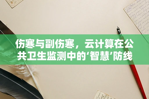 伤寒与副伤寒，云计算在公共卫生监测中的‘智慧’防线